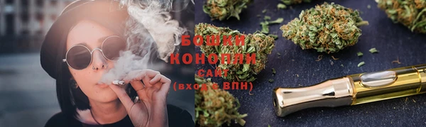стаф Новокубанск