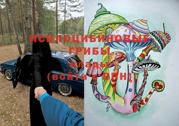 молекула духа Новодвинск
