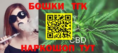 крисы Новодвинск