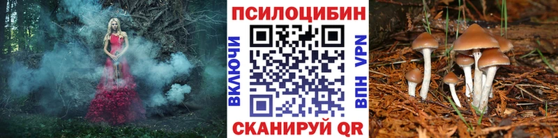Псилоцибиновые грибы GOLDEN TEACHER Саров