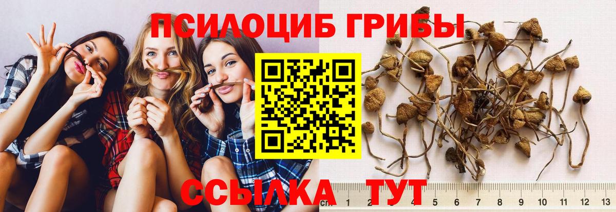 Псилоцибиновые грибы Psilocybe  Псилоцибиновые грибы MAGIC MUSHROOMS  Саров  Вход с VPN 