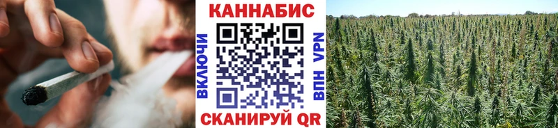 Каннабис Bruce Banner  цены наркотик  MEGA ONION  Саров 